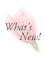 �X�V�L�^
